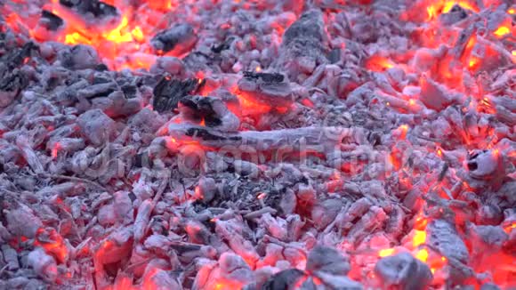 在柴火篝火火焰壁炉中闪烁着五颜六色的橙色灯光的木炭上非常令人满意的近景视频的预览图