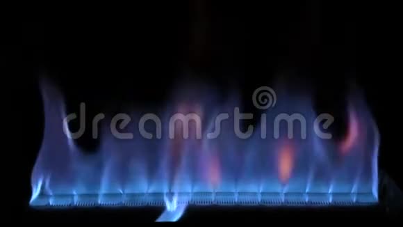 非常令人满意舒适的4k近景蓝色五颜六色的火焰灯在煤气炉厨房炊具中缓慢燃烧视频的预览图
