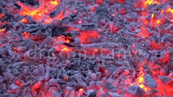 在柴火篝火火焰壁炉中燃烧着五颜六色的橙色光的木炭在华丽令人满意的4k近景中燃烧视频的预览图
