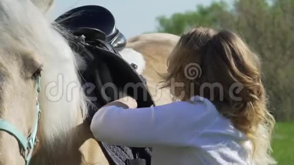 一个女人牵着一匹白马抚摸着她的鬃毛扔了一个马鞍雪橇在手里视频的预览图