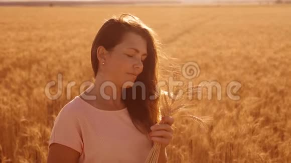 一个女孩在田野的肖像与小麦在日落剪影自然慢动作视频美丽的女孩在白田视频的预览图