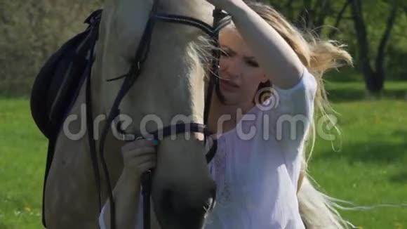 一个女人牵着一匹白马抚摸着她的鬃毛扔了一个马鞍雪橇在手里视频的预览图