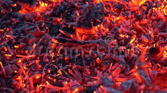 在柴火篝火火焰壁炉中用五颜六色的橙色灯光照亮木炭令人满意的4k近景视频的预览图