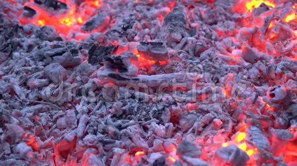 令人满意的4k近景木炭在柴火篝火火焰壁炉中闪烁着五颜六色的橙色灯光视频的预览图