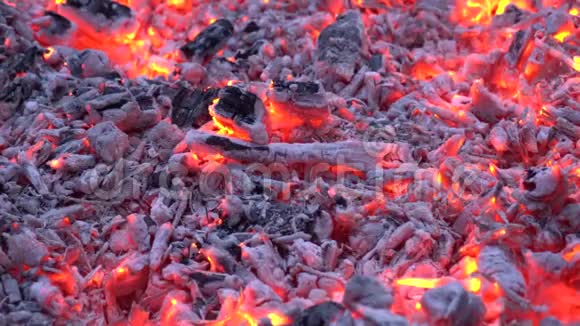 木炭在柴火篝火火焰壁炉中闪耀着五颜六色的橙色光芒在美妙的满足4k近距离观看视频的预览图