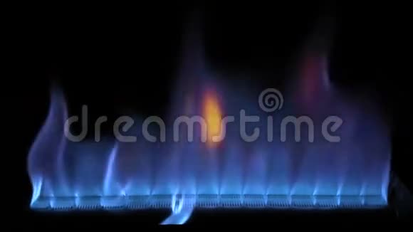 极好的舒适令人满意的4k近景蓝色彩色火焰发光慢慢燃烧煤气炉厨房炊具视频的预览图