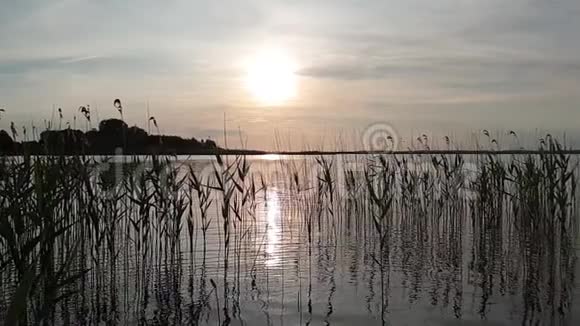 沙茨克湖的日落视频的预览图