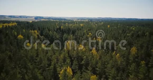 无人机快速飞越美丽宽阔的森林视野空中4K奇妙的背景拍摄树木和开放的天际线视频的预览图