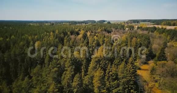 早春野生森林的无人机航拍4K型天桥观晴混林树小河乡视频的预览图