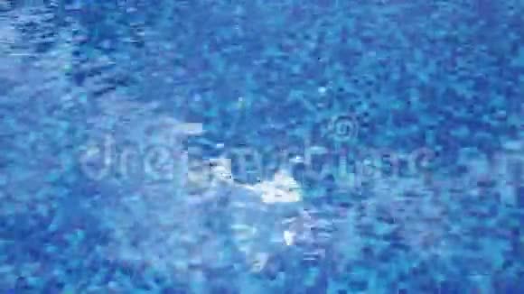 阳光反射蓝色水面酒店游泳池视频的预览图