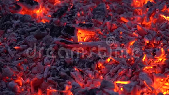 在柴火篝火火焰壁炉中用五颜六色的橙色灯光照亮木炭令人满意视频的预览图
