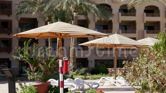 酒店海滩有日光浴床和遮阳伞视频的预览图