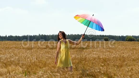 美女带着彩色雨伞在黄色的麦田里奔跑视频的预览图