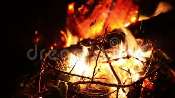 大晚上的篝火在森林的空地上燃烧大火燃烧结束视频的预览图
