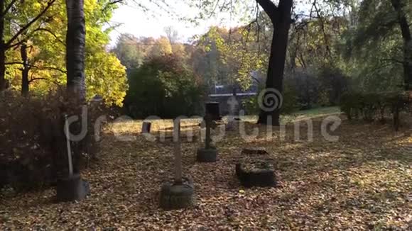 墓地的古墓碑视频的预览图