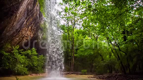 野林中的瀑布慢动作视频的预览图