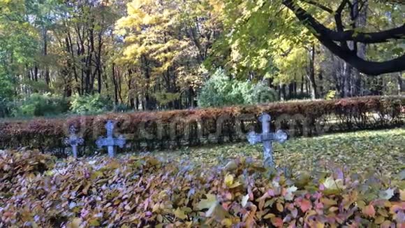 墓地的古墓碑视频的预览图