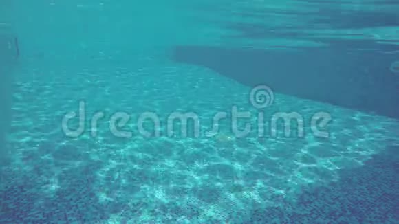 阳光反射在游泳池底部水下拍摄视频的预览图