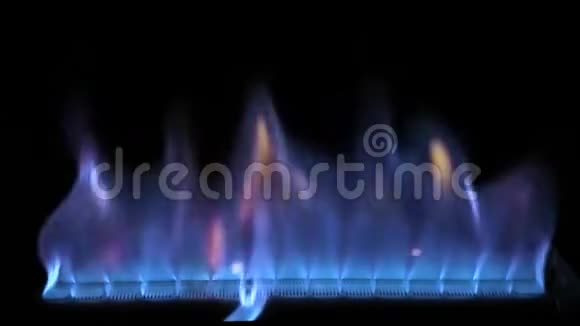 令人惊叹的舒适令人满意的4k近景蓝色的彩色火焰灯在煤气炉厨房炊具中慢慢燃烧视频的预览图