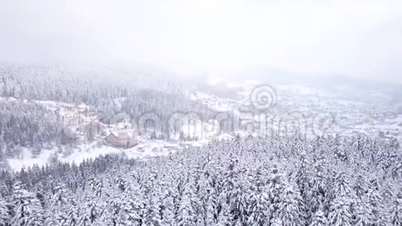 有建筑物的村庄都覆盖着雪空中景观视频的预览图