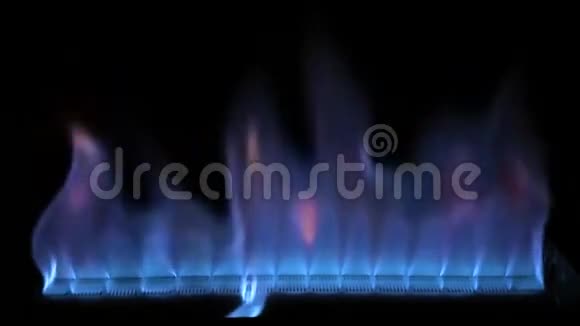 令人满意的舒适4k近距离拍摄蓝色五颜六色的火焰灯在煤气炉厨房炊具中缓慢燃烧视频的预览图