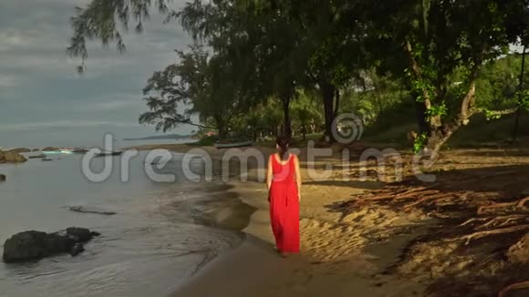热带岛屿上的女人在海滩上沿着水散步视频的预览图