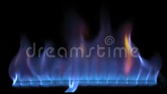 可爱的舒适令人满意的4k近景蓝色五颜六色的火焰慢慢燃烧在煤气炉厨房炊具视频的预览图