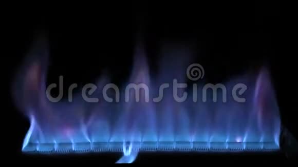 在煤气炉灶灶里明亮舒适令人满意的4k近景蓝色的五颜六色的火焰慢慢燃烧视频的预览图