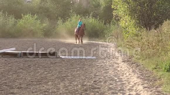 超重的少女骑着一匹棕色的马视频的预览图