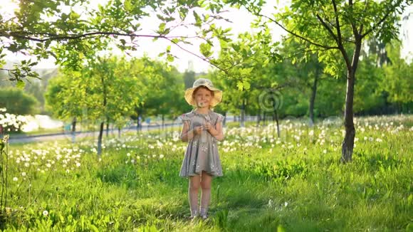 一个小欧洲女孩从白色的蒲公英里吹出蓬松的种子视频的预览图