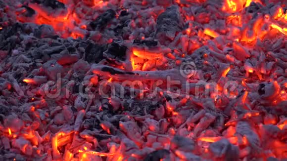 柴火燃烧着五颜六色的橙色光篝火火焰壁炉令人印象深刻令人满意的近景视频的预览图