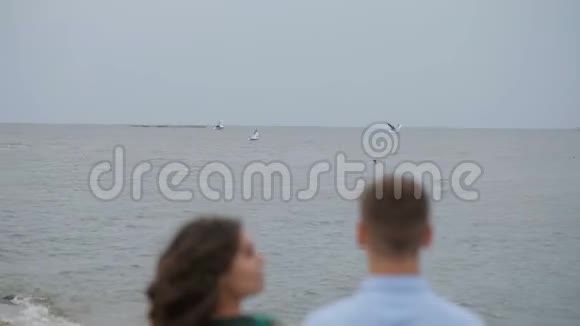 海鸥飞过波浪状的海湾视频的预览图