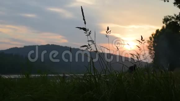 温暖的夏夜里的山河田草视频的预览图