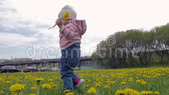 一个漂亮的小女孩在城市公园里跑来跑去一个孩子在花园里享受蒲公英慢动作视频的预览图