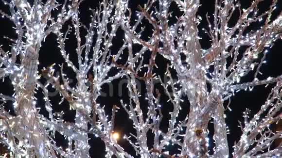 圣诞树点亮圣诞灯视频的预览图