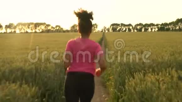 非洲裔美国少女少女年轻女性在日落时分跑过大麦或小麦作物的小径视频的预览图