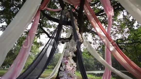 为婚礼装饰的漂亮大树视频的预览图