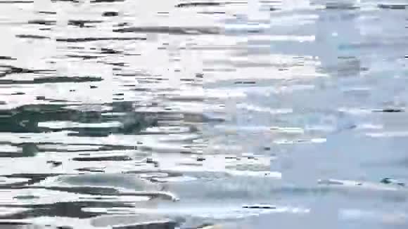 碧海涟漪在水面上肆虐视频的预览图