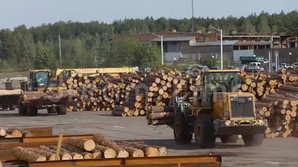 锯木厂的工作过程木材加工厂的重型机械工厂的工作过程视频的预览图