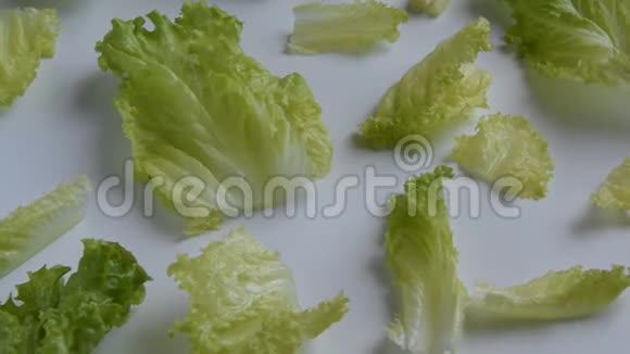 镜头在白色背景下沿着生的新鲜生菜移动视频的预览图