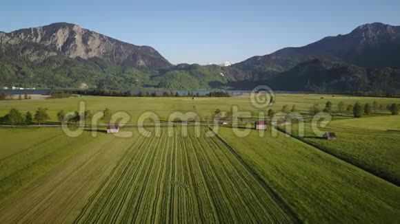 巴伐利亚阿尔卑斯山全景的空中与绿色草地视频的预览图