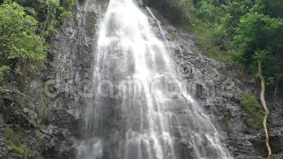 夏威夷瓦胡岛上的神奇瀑布视频的预览图