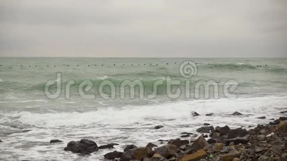 一群鸟飞过低潮的波涛汹涌的大海视频的预览图