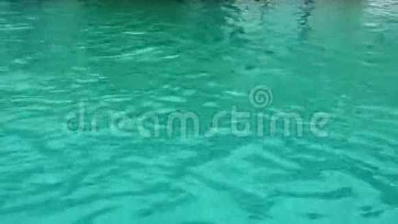 穿比基尼的苗条女人在酒店游泳池放松和游泳暑假概念视频的预览图