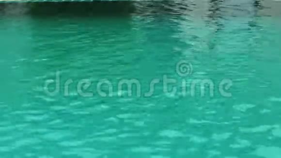 穿比基尼的苗条女人在酒店游泳池放松和游泳暑假概念视频的预览图
