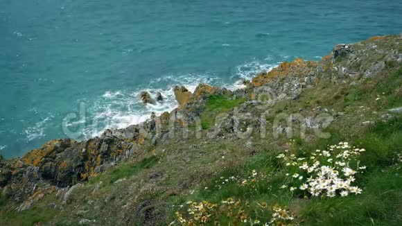 海风吹拂着海边长满草的悬崖视频的预览图