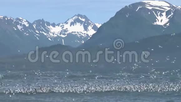基蒂湖的背景是海湾和山脉视频的预览图
