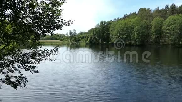 夏季的湖泊景观德国哈弗兰的乡村视频的预览图