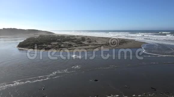 加利福尼亚鲑鱼溪海滩鸟类的放大视频的预览图