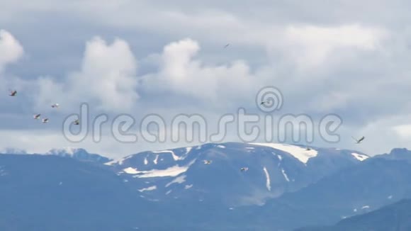 海鸥飞过美丽的山脉视频的预览图